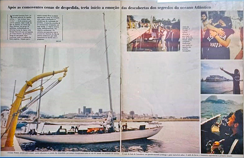 albatroz_cisne_branco